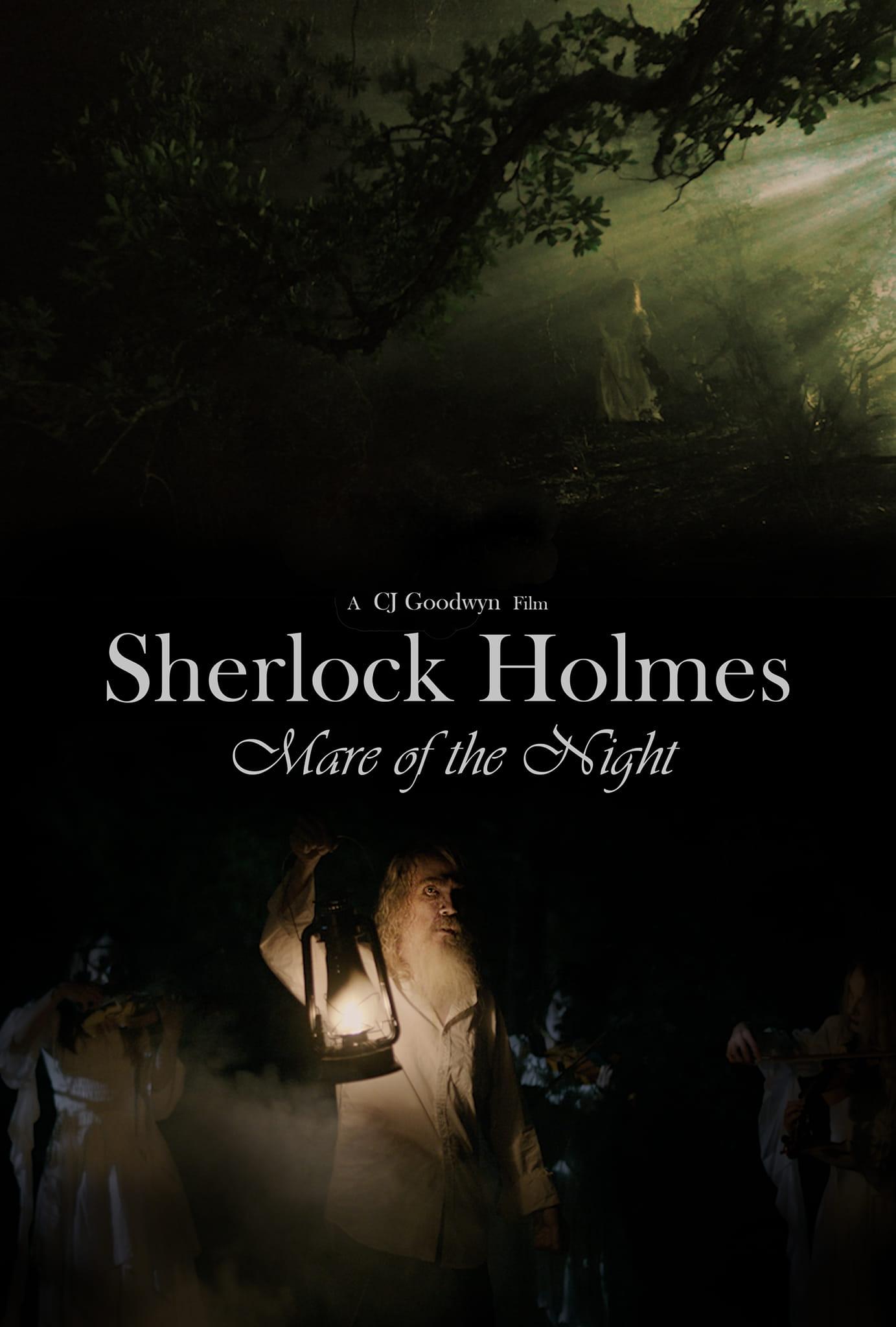 Sherlock Holmes: Thám Tử Đêm